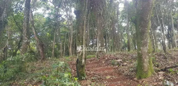 Lote/Terreno à venda, 12360m² no Tucuruvi, São Paulo