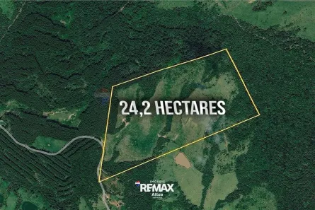 Fazenda/Sítio à venda, 242000m² no , Tamarana