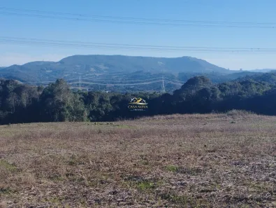 Fazenda/Sítio com 1 Quarto à venda, 260418m² no Ouro Verde, Campo Largo