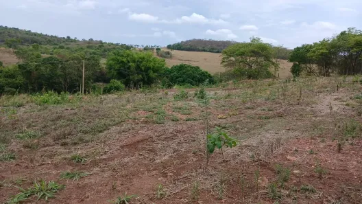 Fazenda/Sítio à venda, 2200m² no , Professor Jamil