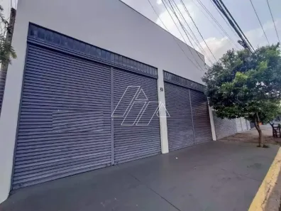 Galpão/Depósito/Armazém para alugar, 250m² no Palmital, Marília