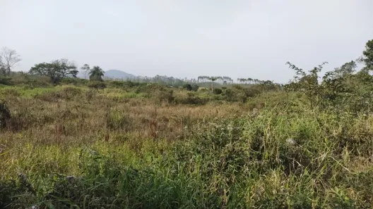 Fazenda/Sítio à venda, 80000m² no Medeiros, Barra Velha