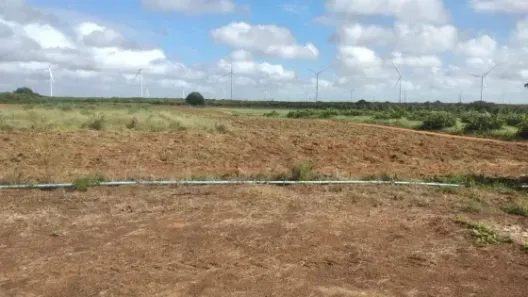 Fazenda/Sítio com 3 Quartos à venda, 420000m² no , São Miguel do Gostoso
