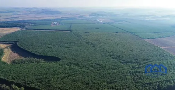 Fazenda/Sítio com 1 Quarto à venda, 7768200m² no Área Rural de Itu, Itu