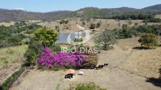 Fazenda/Sítio com 4 Quartos à venda, 500m² no Urucuia, Esmeraldas