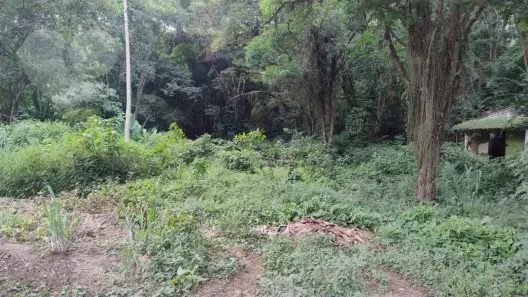Lote/Terreno à venda, 1025m² no Rio do Ouro, Niterói