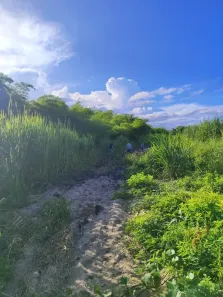 Fazenda/Sítio com 3 Quartos à venda, 550000m² no , São José de Mipibu