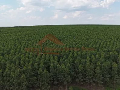 Fazenda/Sítio à venda, 1m² no Área Rural de Bauru, Bauru