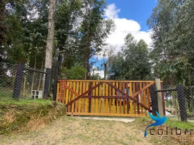 Lote/Terreno à venda, 6050m² no Pavãozinho, Agudos do Sul