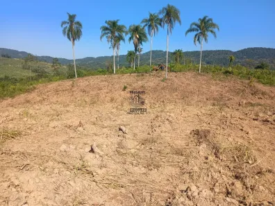 Fazenda/Sítio com 2 Quartos à venda, 103000m² no , Eldorado