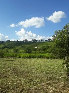 Fazenda/Sítio com 3 Quartos à venda, 900000m² no , São Brás do Suaçuí