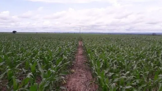 Fazenda/Sítio à venda, 160000000m² no Buriti Bravo, Buriti Bravo