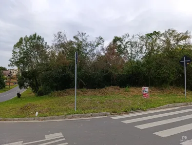 Lote/Terreno à venda, 565m² no Laranjinha, Criciúma
