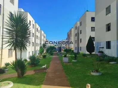 Apartamento com 2 Quartos à venda, 43m² no Jardim Maria Celina, Londrina