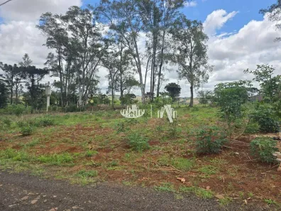 Fazenda/Sítio à venda, 1000m² no Conjunto Habitacional Jamile Dequech, Londrina