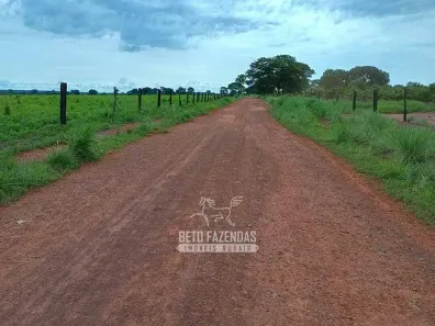 Fazenda/Sítio à venda, 76850000m² no , Formoso do Araguaia