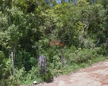 Lote/Terreno à venda, 21731m² no Ratones, Florianópolis
