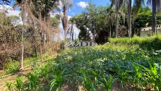 Lote/Terreno à venda, 1000m² no Chácaras São Bento, Valinhos