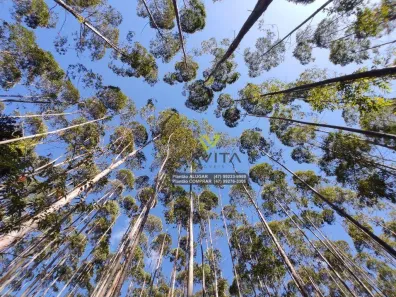Fazenda/Sítio à venda, 36000m² no Cedro Alto, Rio dos Cedros