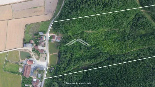 Galpão/Depósito/Armazém à venda, 250000m² no , Garuva