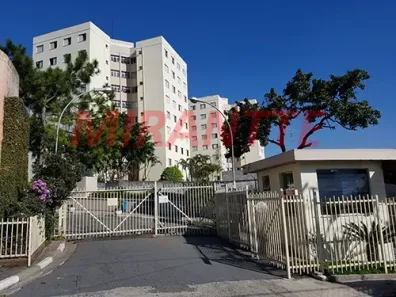 Apartamento com 2 Quartos à venda, 50m² no Jardim Maristela, São Paulo