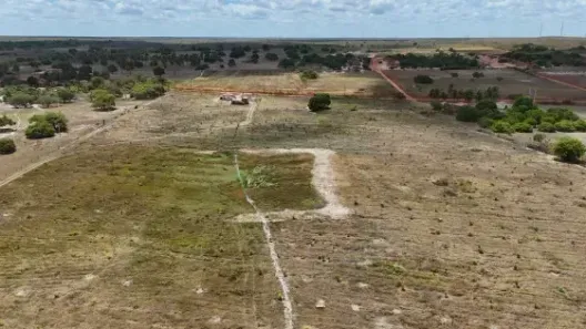 Fazenda/Sítio com 3 Quartos à venda, 300000m² no , Touros