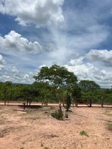 Lote/Terreno à venda, 120m² no Área Rural de Cuiabá, Cuiabá