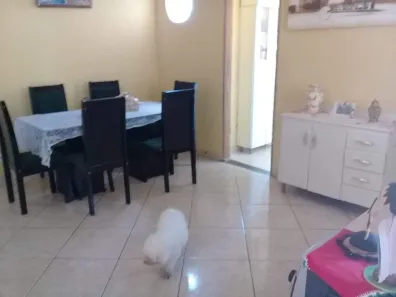 Casa com 6 Quartos à venda, 300m² no Jardim Felicidade, Belo Horizonte