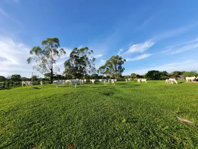 Fazenda/Sítio com 4 Quartos à venda, 202m² no Centro, Arinos