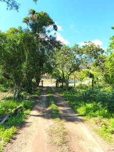 Imóvel Comercial à venda, 56000m² no Areias de Baixo, Governador Celso Ramos