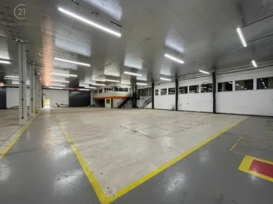Galpão/Depósito/Armazém para alugar, 6500m² no Ideal, Londrina