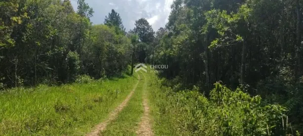 Lote/Terreno à venda, 266000m² no Chácara Rincão, Cotia