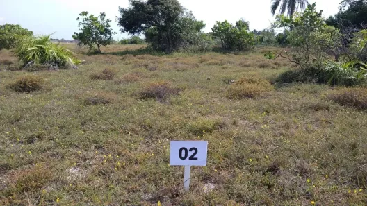 Lote/Terreno à venda, 300m² no ZONA TURISTICA, Itaporanga D'Ajuda