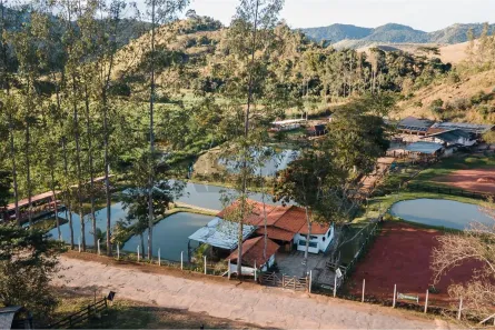 Fazenda/Sítio com 3 Quartos à venda, 150000m² no Além Paraíba, Além Paraíba