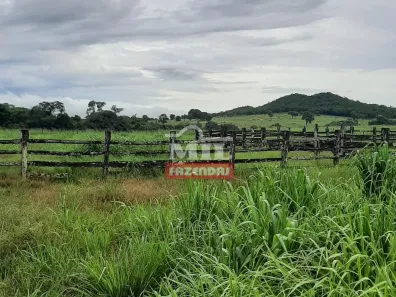 Fazenda/Sítio à venda, 500m² no , Montes Claros de Goiás