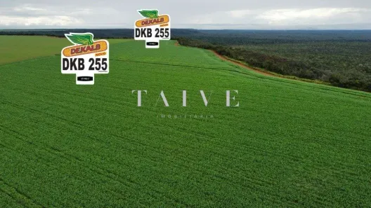 Fazenda/Sítio com 2 Quartos à venda, 1m² no , Sapezal