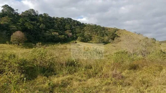 Fazenda/Sítio à venda, 19m² no Taboão, Taubaté