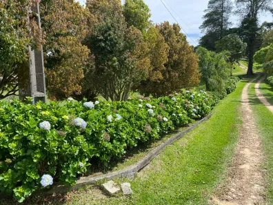 Fazenda/Sítio com 4 Quartos à venda, 199000m² no Colônia Acioli, São José dos Pinhais