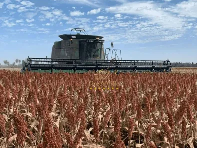 Fazenda/Sítio com 4 Quartos à venda, 26330000m² no Atlântico, Bonito