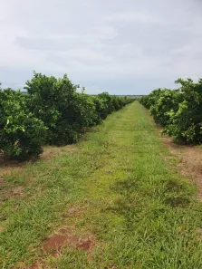 Fazenda/Sítio com 1 Quarto à venda, 23062600m² no Área Rural de Avaré, Avaré