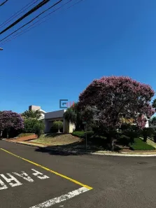 Casa de Condomínio com 3 Quartos à venda, 290m² no Esperança, Londrina