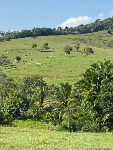 Fazenda/Sítio à venda, 400000m² no , São Luís do Quitunde