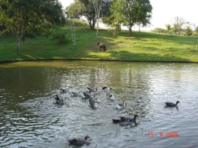 Lote/Terreno à venda, 15513m² no Caxito, Maricá