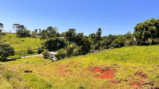 Fazenda/Sítio à venda, 6394m² no Vila Rosa, Dois Irmãos
