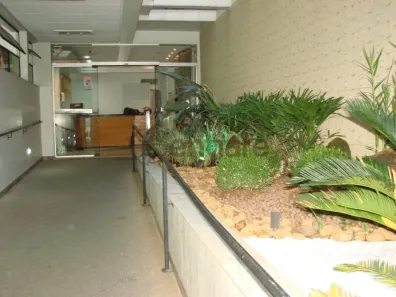 Sala Comercial para alugar, 37m² no Santa Efigênia, Belo Horizonte
