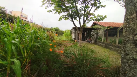 Lote/Terreno à venda, 384m² no Ambrósio, Garopaba