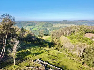 Lote/Terreno à venda, 20000m² no , Pinto Bandeira