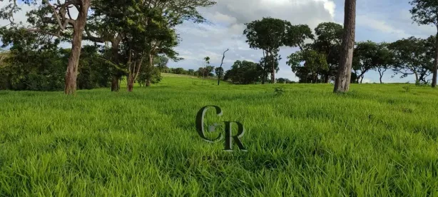 Fazenda/Sítio à venda, 2m² no , Bela Vista de Goiás