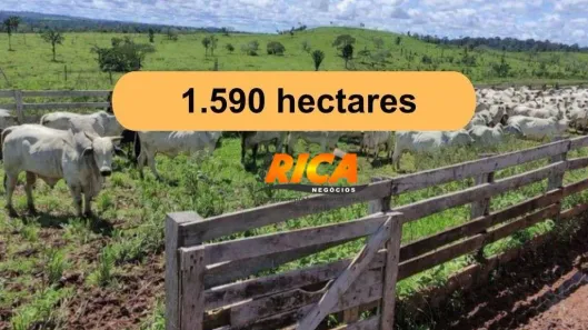Fazenda/Sítio à venda, 15900000m² no Sucunduri, Apuí