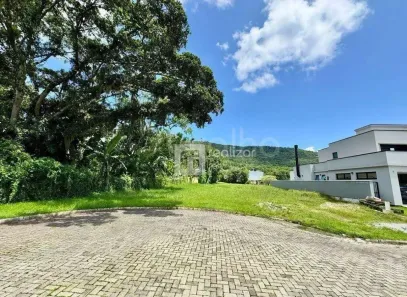Lote/Terreno à venda, 3149m² no Ratones, Florianópolis